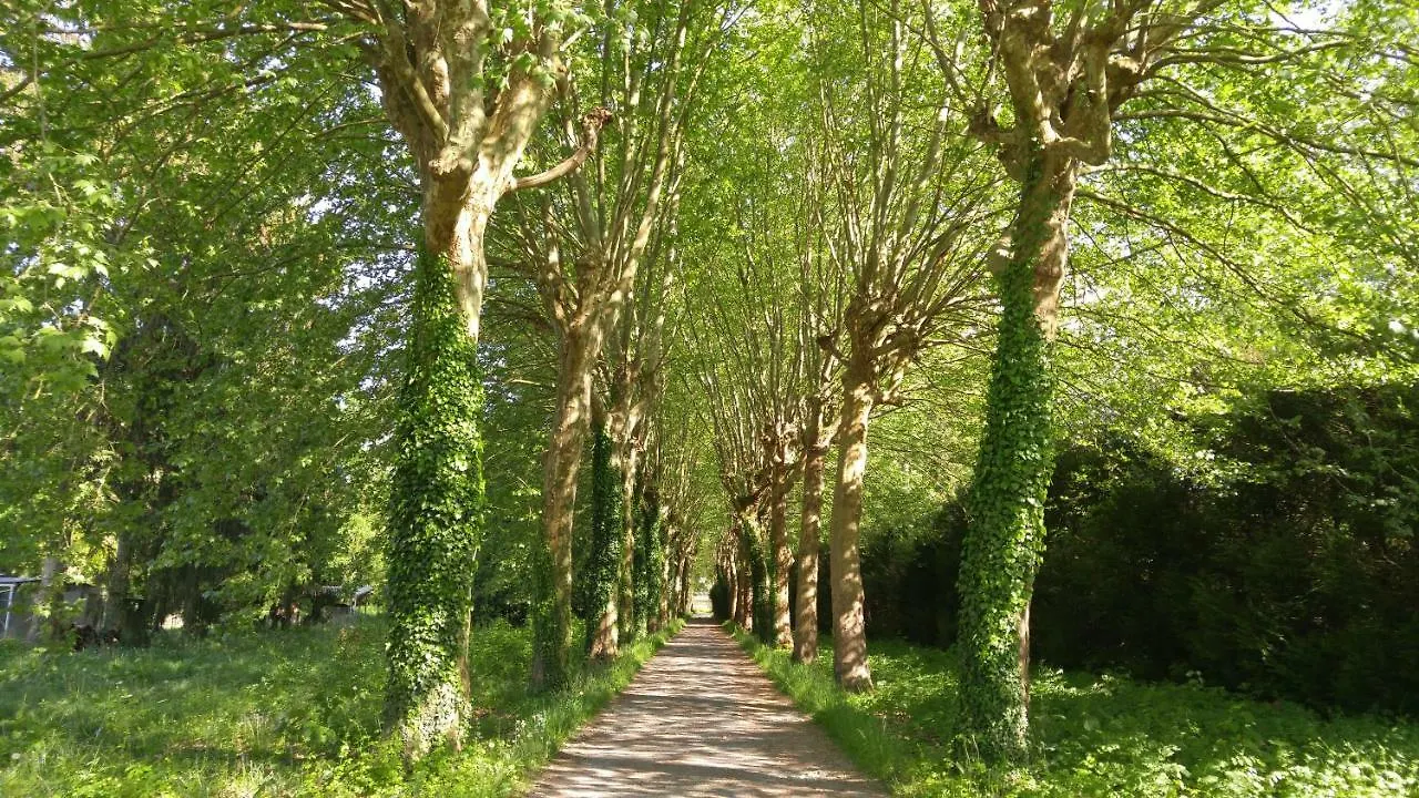 Domaine De Bramefaon Bed & Breakfast Barbizon